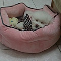 20110303483.JPG