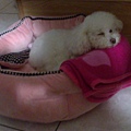 20110514697.JPG