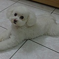 20110603827.JPG