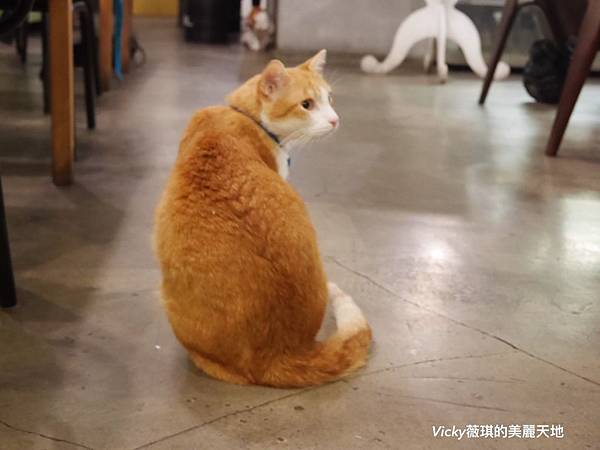 S__29425726 S__29425726