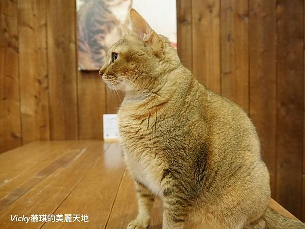 S__29425727 S__29425727