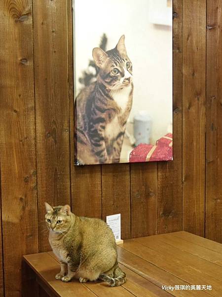 S__29425728 S__29425728