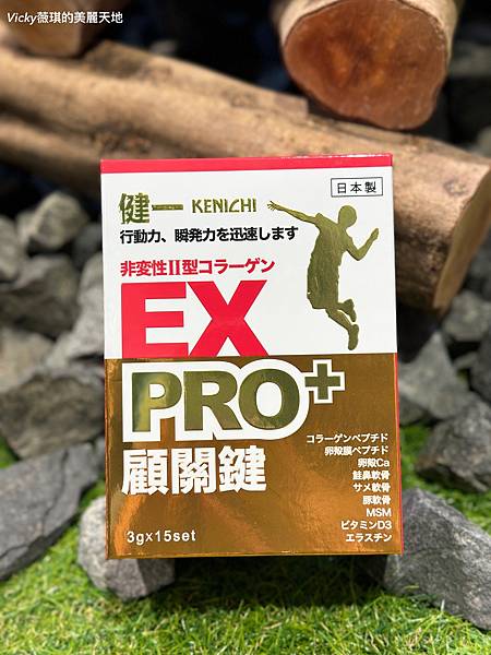 相片 2024-9-9 12 36 48