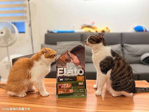 相片 2024-10-3 10 07 25 (1)