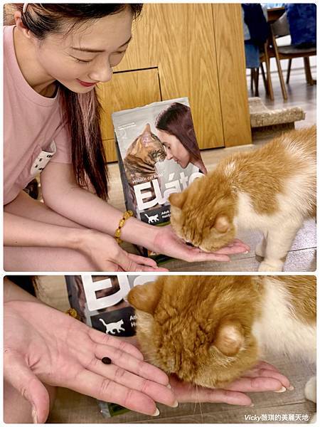 相片 2024-10-3 10 07 25 (5) (1)