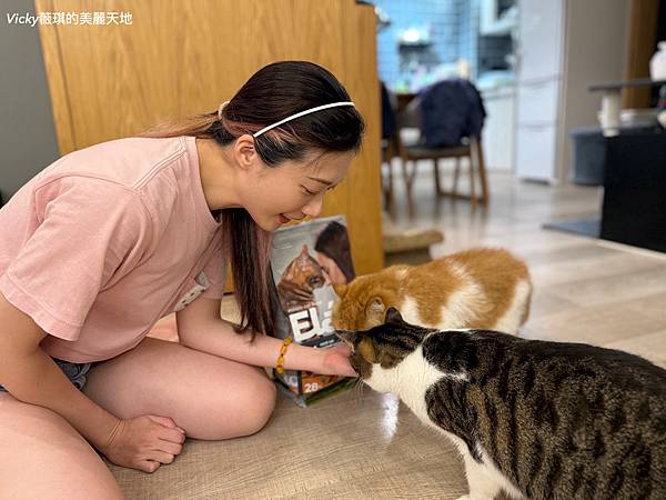 相片 2024-10-3 10 07 25 (4)