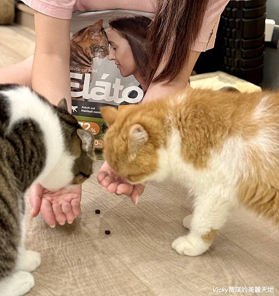 相片 2024-10-3 10 07 25