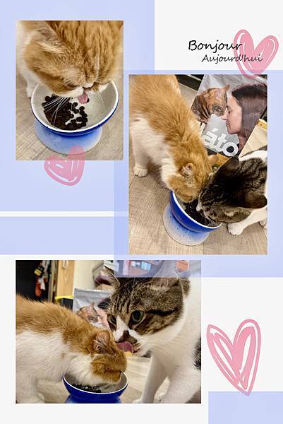 相片 2024-10-3 10 07 25 (16)