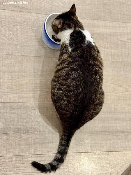 相片 2024-10-3 10 07 25 (11)