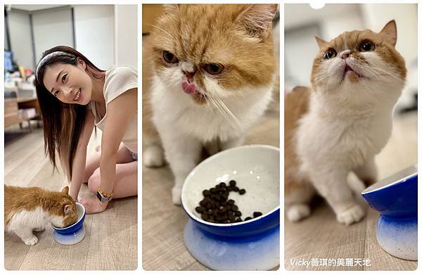 相片 2024-10-3 10 07 25 (15) (1)