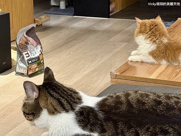 相片 2024-10-3 10 07 25 (14)