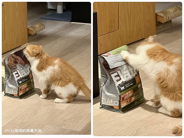 相片 2024-10-3 10 07 25 (13)