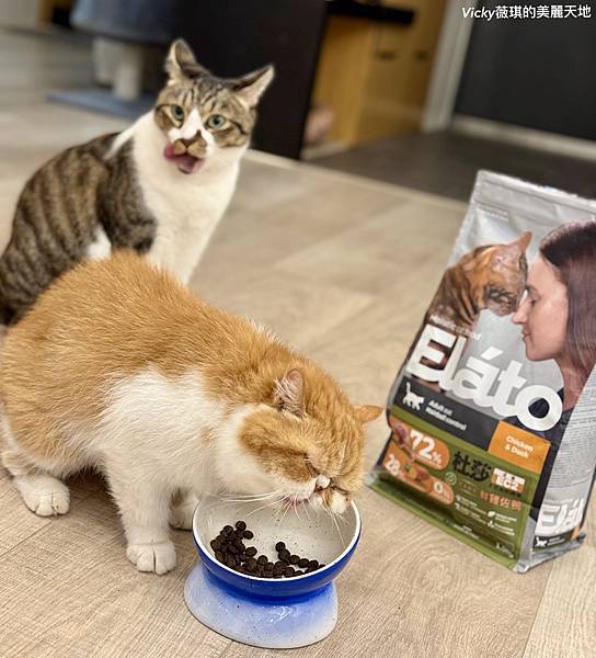 相片 2024-10-3 10 07 25 (10)