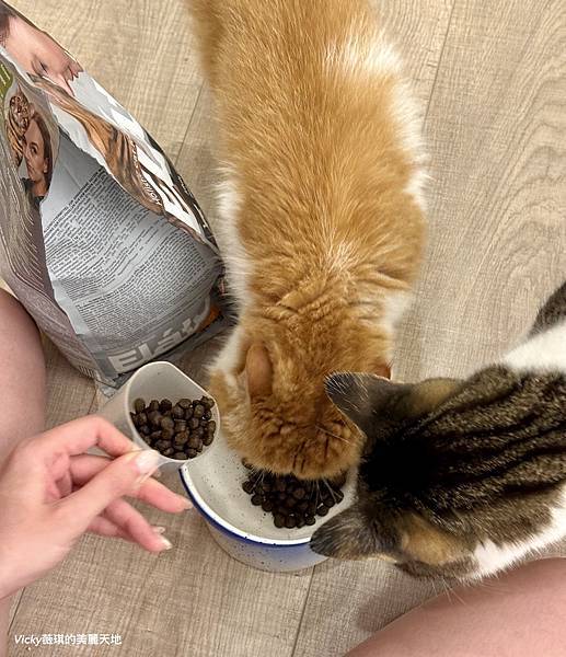 相片 2024-10-3 10 07 25 (9)