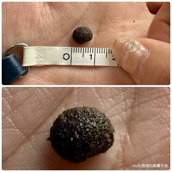 相片 2024-10-3 14 13 12