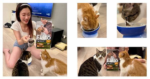 相片 2024-10-3 16 00 12