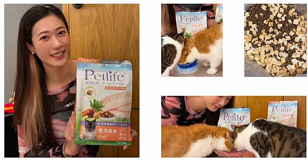 相片 2024-11-10 14 41 29 (5) 相片 2024-11-10 14 41 29 (5)