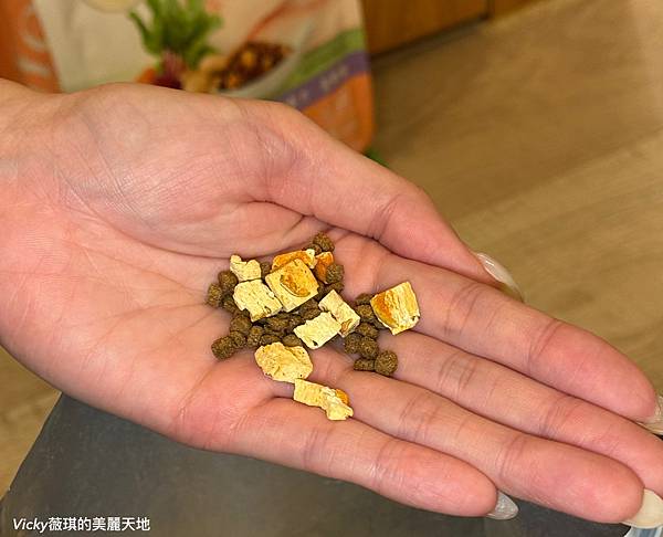 相片 2024-11-10 14 41 29 相片 2024-11-10 14 41 29