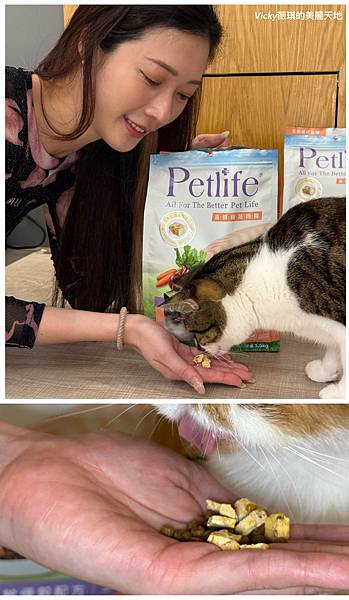 相片 2024-11-10 14 41 29 (6) 相片 2024-11-10 14 41 29 (6)