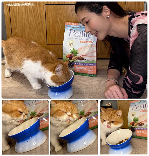 相片 2024-11-10 14 41 29 (8) 相片 2024-11-10 14 41 29 (8)