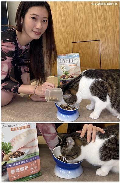 相片 2024-11-10 14 41 29 (7) 相片 2024-11-10 14 41 29 (7)