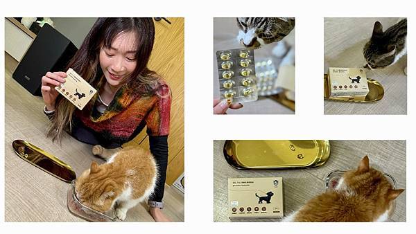 相片 2024-12-25 13 43 54 (7)