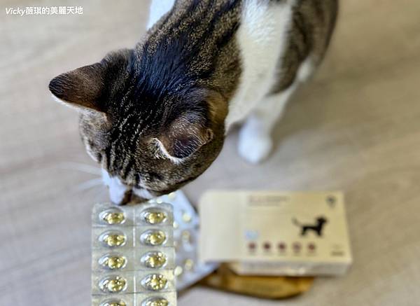 相片 2024-12-25 13 43 54 (3)