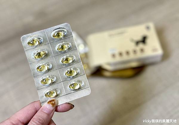 相片 2024-12-25 13 43 54 (2)