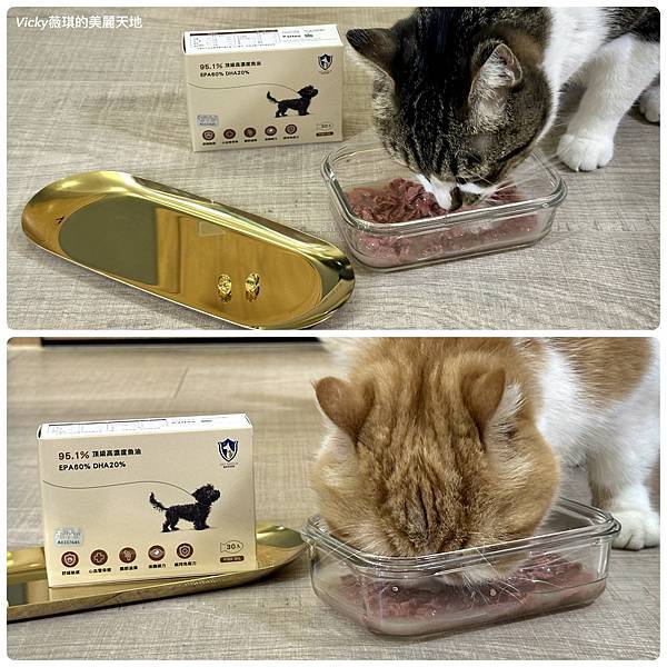 相片 2024-12-25 13 43 54 (4)