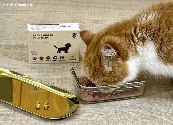 相片 2024-12-25 13 43 54 (1)