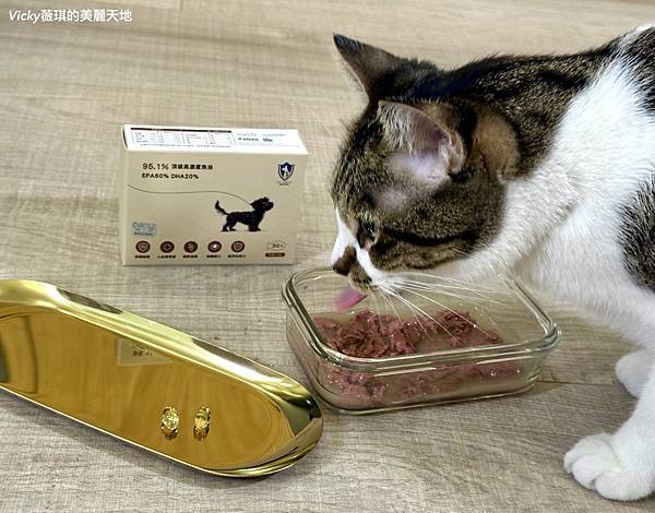 相片 2024-12-25 13 43 54 (5)