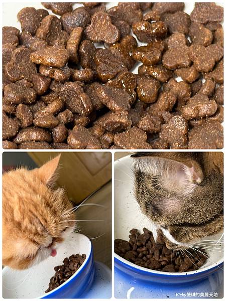 相片 2024-12-25 16 54 35 (1)