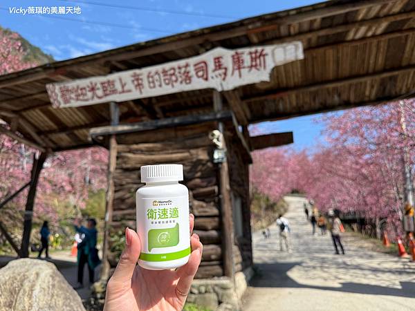 相片 2025-2-27 22 35 36