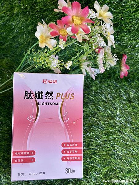 相片 2025-5-3 23 46 59 相片 2025-5-3 23 46 59