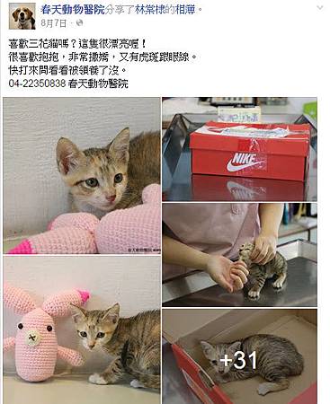 2015-10-21 下午 02-26-34.jpg