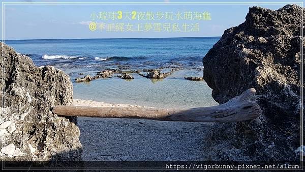 batch_20200929_160427漂流老木.jpg