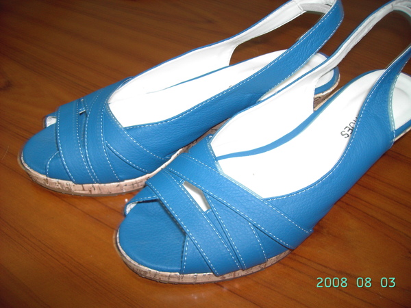 買了雙藍色條紋的楔型鞋