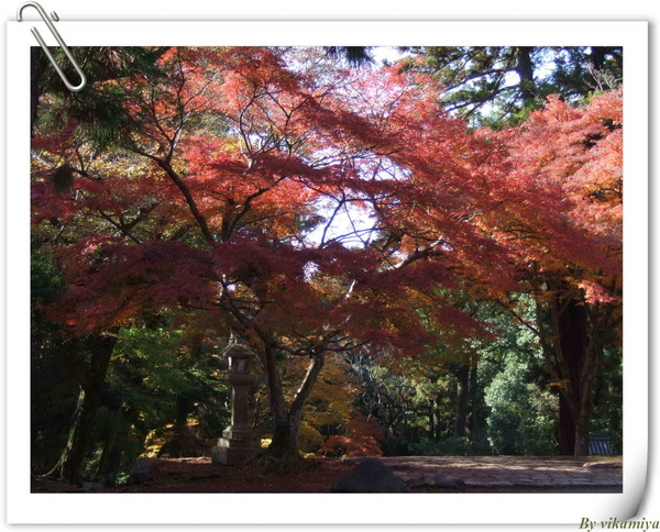 11.26 奈良東大寺12.jpg