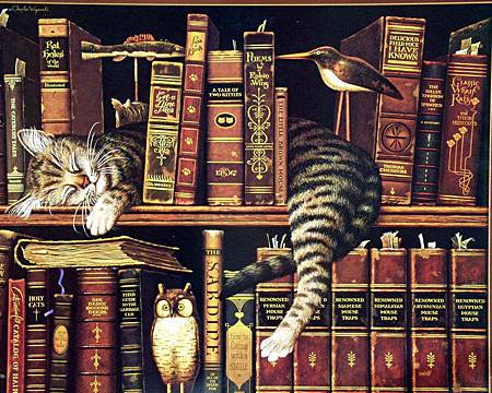 cats_library_books_owls_book_cat_owl_desktop_1712x1368_hd-wallpaper-642212