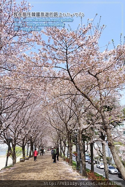 20170408_081.JPG 20170408_081.JPG