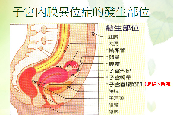 未命名-1