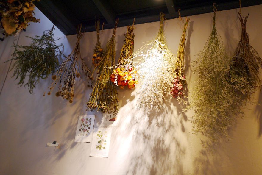 P2320350.jpg P2320350.jpg