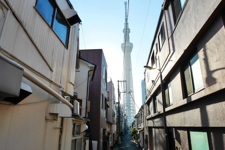 P1060136.jpg P1060136.jpg