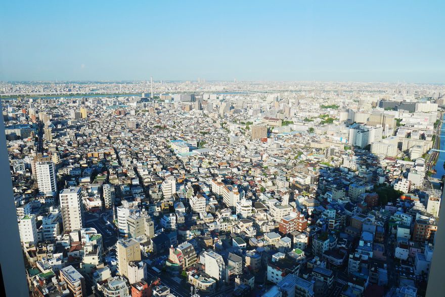 P1060175.jpg P1060175.jpg