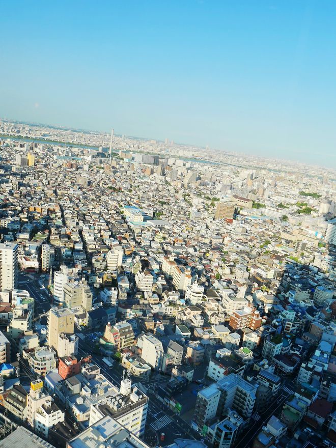 P1060176.jpg P1060176.jpg