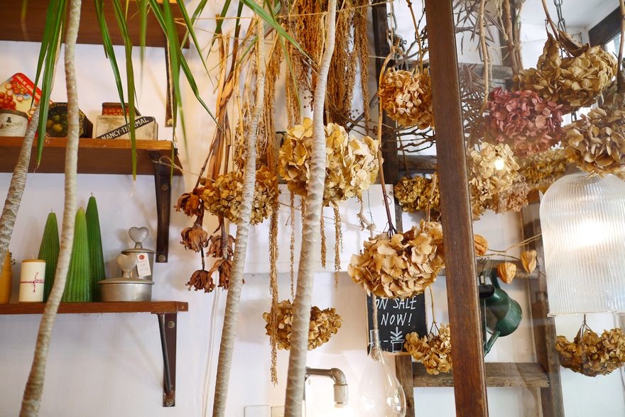 P2520426.jpg P2520426.jpg