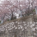 감천문화마을甘川文化村0060.jpg