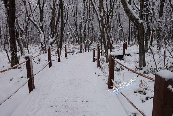 濟州島漢拏山御里牧靈室登山031.jpg