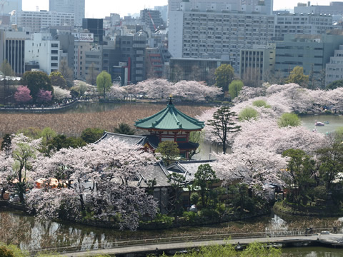 上野恩賜公園.jpg