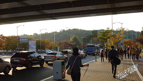首爾紫芒草慶典서울억새축제天空公園하늘공원0006.jpg 首爾紫芒草慶典서울억새축제天空公園하늘공원0006.jpg